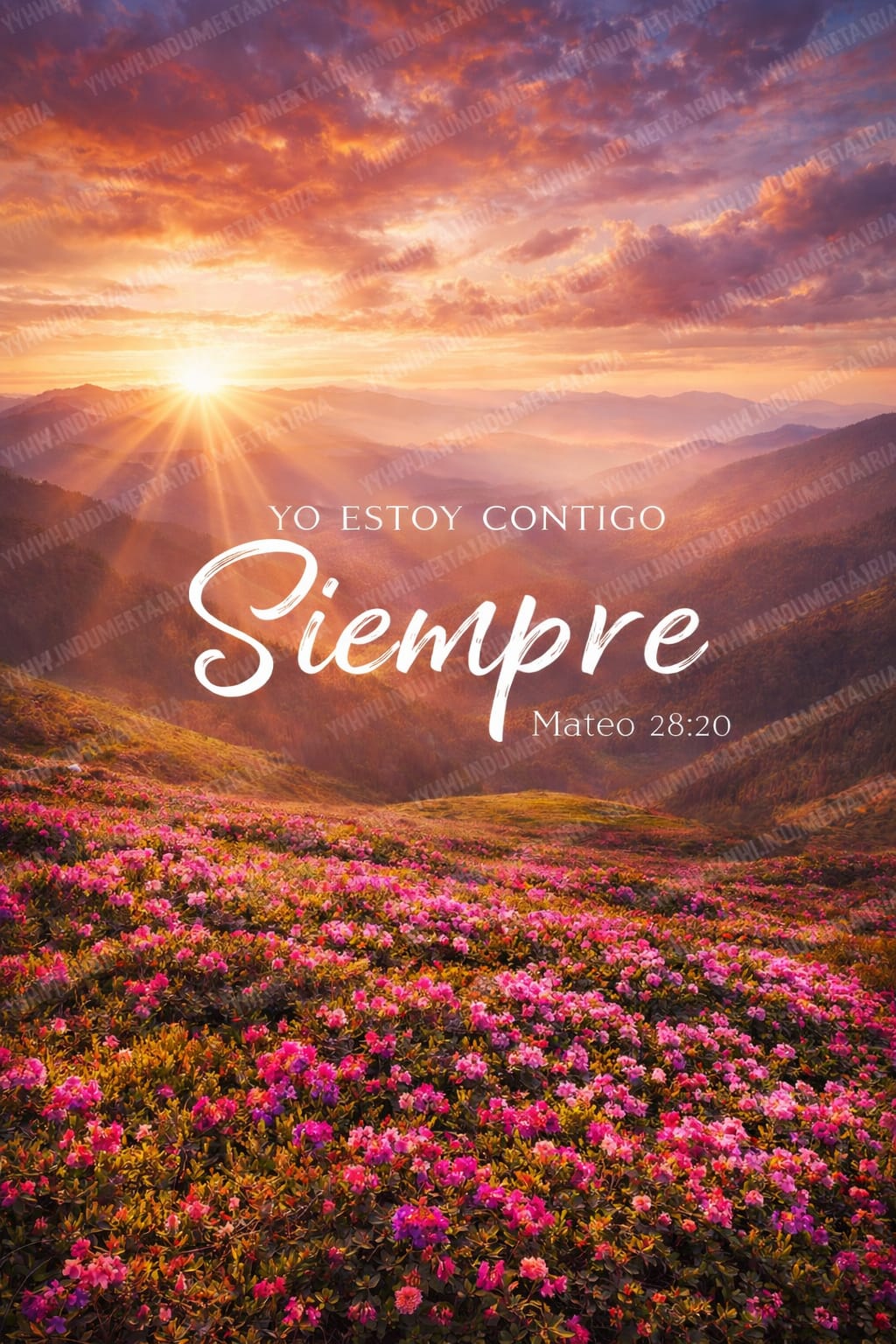 YO ESTOY CONTIGO SIEMPRE