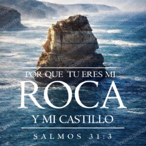 PORQUE TU ERES MI ROCA Y MI CASTILLO
